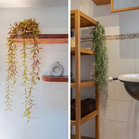 Tgn-historicalcenter-views-cozy-gastro-wifi-2pax19 Appartement